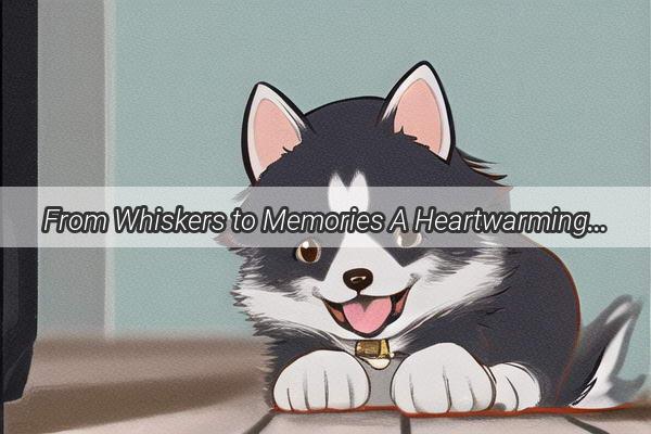 From Whiskers to Memories A Heartwarming Tribute to Mom and Dads Beloved Pet